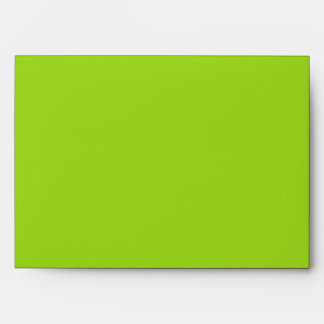 Damask Delight in Lime Green Wedding Envelope
