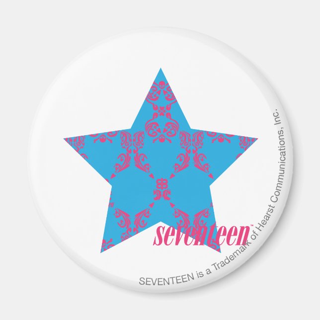 Damask Magenta-Aqua 2 Magnet (Front)