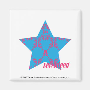 Damask Magenta-Aqua 2 Magnet