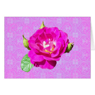 Damassé rose de violette