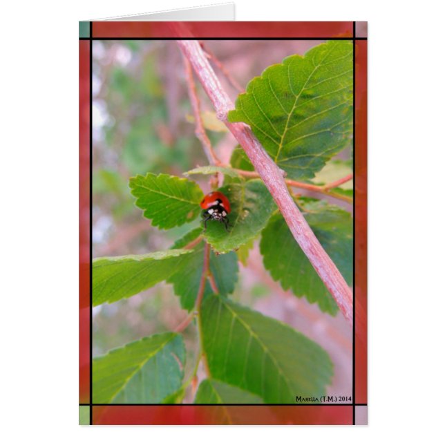 Dame en rouge (Devant)