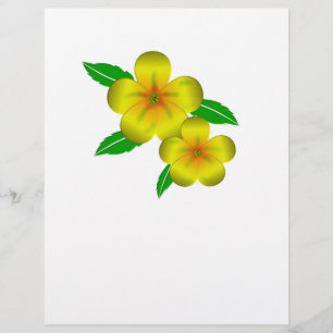 Damiana yellow flowers flyer
