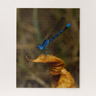 Damsel Fly Jigsaw Puzzle 