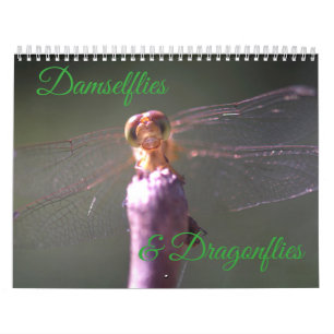 Damselflies and Dragonflies Calendar