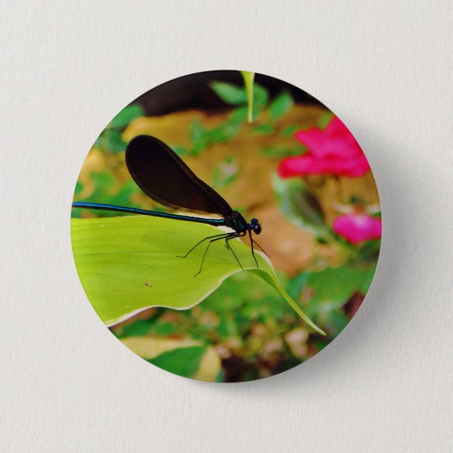 Damselfly and Rose 2 Inch Round Button (Front)