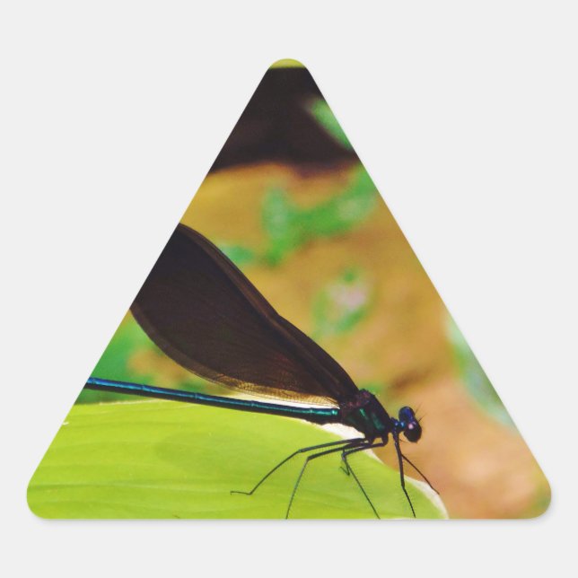 Damselfly and Rose Triangle Sticker (Front)