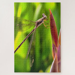 Damselfly Balanced On A Flower Head Jigsaw Puzzle