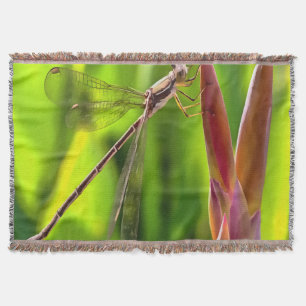 Damselfly Balanced On A Flower Head Throw Blanket