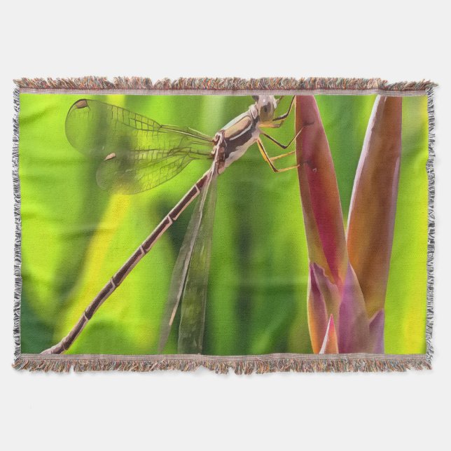 Damselfly Balanced On A Flower Head Throw Blanket (Front)
