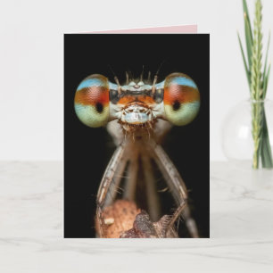 DAMSELFLY BIRTHDAY CARD