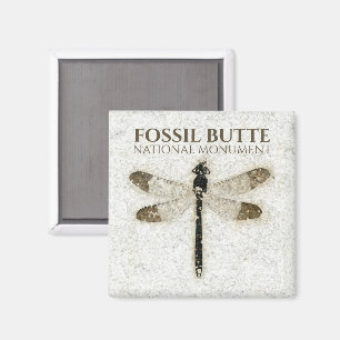 Damselfly Fossil, Fossil Butte NM, Wyoming Magnet