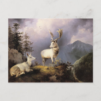 Damwild, Friedrich Gauermann, 1833 Postcard