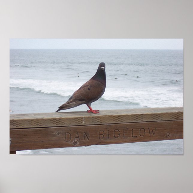 Dan Bigelow Poster (Front)