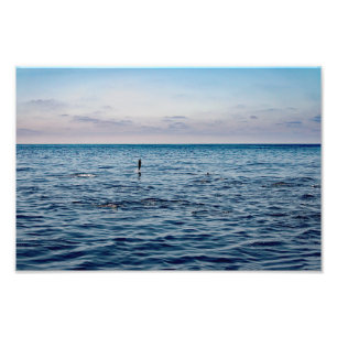 Dana Point Photo Print