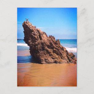 DANA PONIT #1 POSTCARD