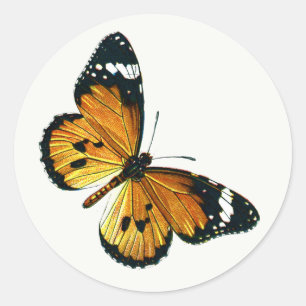 Danaus chrysippus - Plain Tiger, or African Queen  Classic Round Sticker