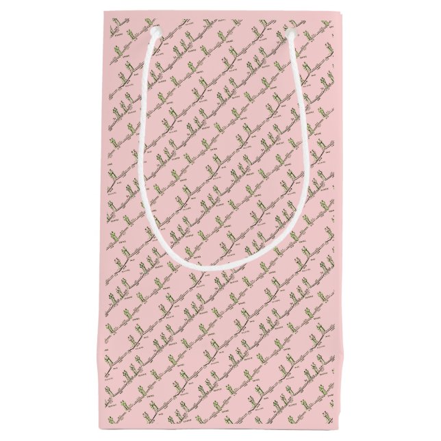 Dance Lessons Gift Bag (Pink) (Front)