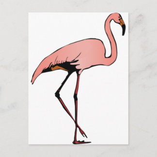 DANCE OF FLAMINGO POSTCARD
