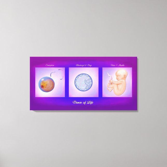 Dance Of Life Pregnancy Art Canvas Print (Front)