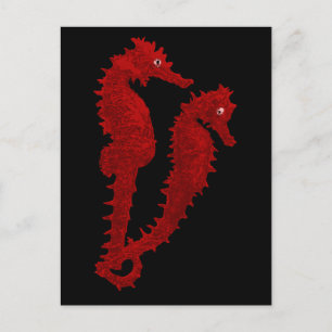 Dance Of The Seahorses (Red) Postcard