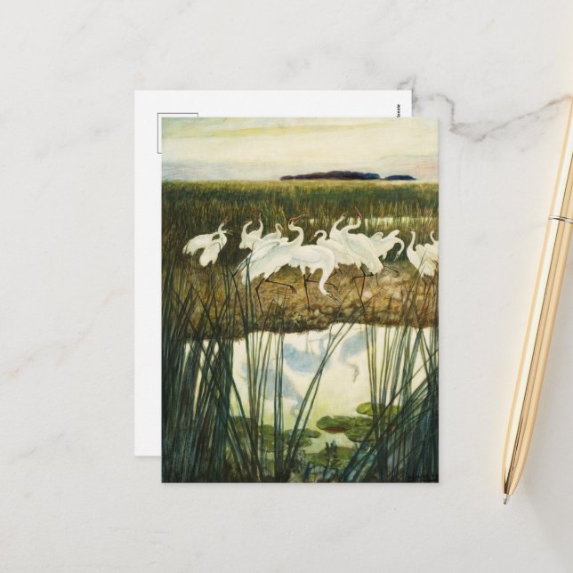 Dance of the Whooping Cranes by N. C. Wyeth Holiday Postcard (Front/Back In Situ)
