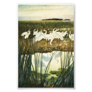 Dance of the Whooping Cranes by N. C. Wyeth Photo Print