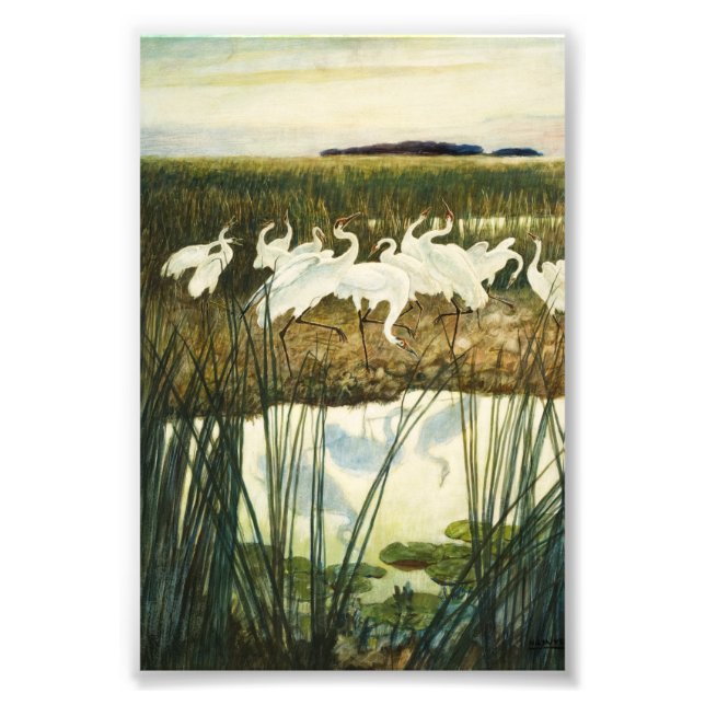 Dance of the Whooping Cranes by N. C. Wyeth Photo Print (Front)