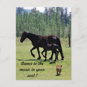 Dance to the music in your soul postcard
