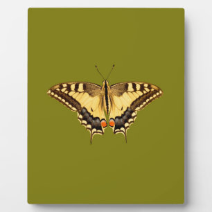 Dancing Butterfly Plaque