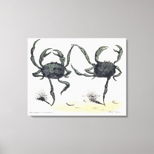 Dancing Crabs On Cloth Canvas Print