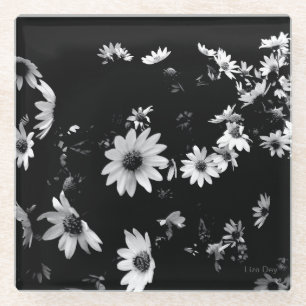 'Dancing Daisies' Glass Coaster