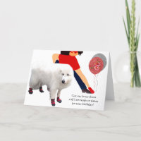 Dancing Dog with Red Shoes Birthday