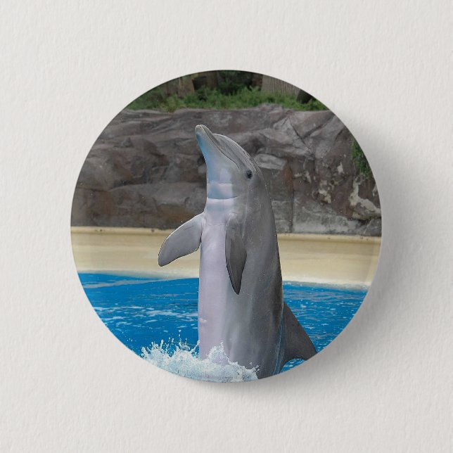 Dancing Dolphin Button (Front)