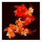 Dancing Firebirds Abstract Art