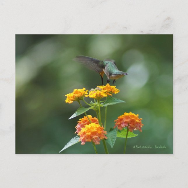 Dancing Jewel Postcard (Front)