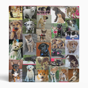 Dancing-Kittens-807, mika-the-american-eskimo_4... Binder