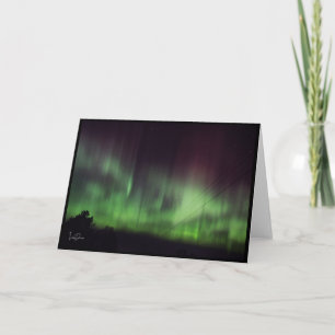 Dancing Lights Over Quiet Trees Blank Card