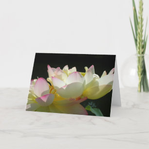 Dancing Lotus Card