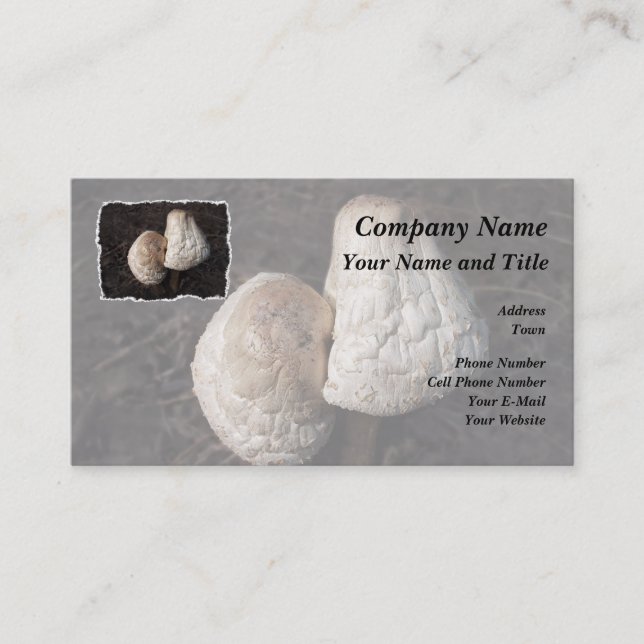 Dancing Mushrooms Duo Business Card (Front)