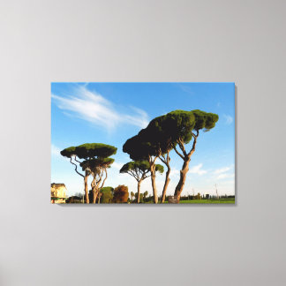 "Dancing" pine trees, Digital art, painting.  Canvas Print