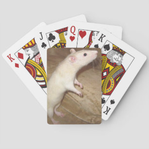 DANCING RAT PLAYING CARDS