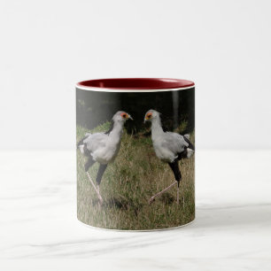 Dancing secretary birds mug