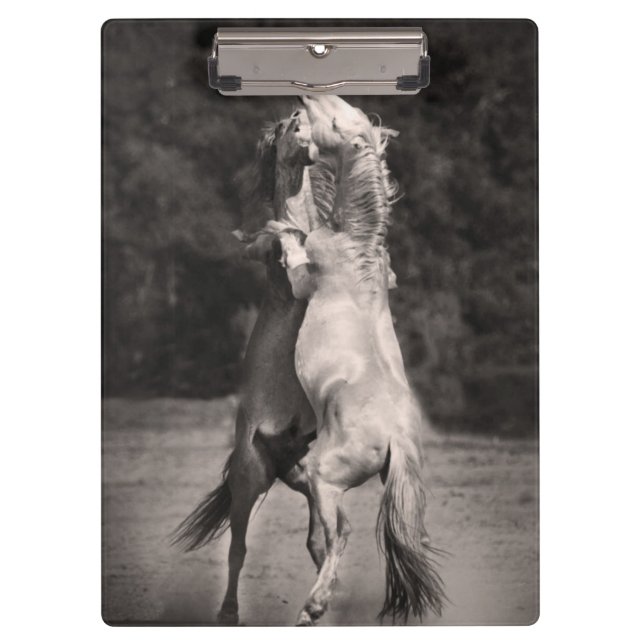 Dancing Stallions Clipboard (Front)