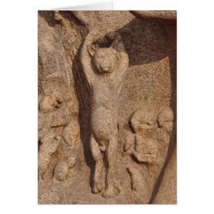 Dancing Temple Cat, India