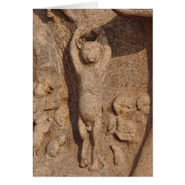 Dancing Temple Cat, India (Front)