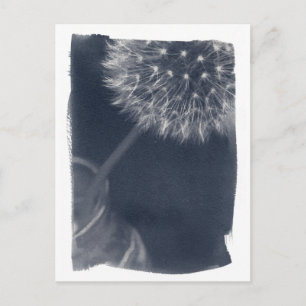 Dandalion Coffee Cyanotype Postcard