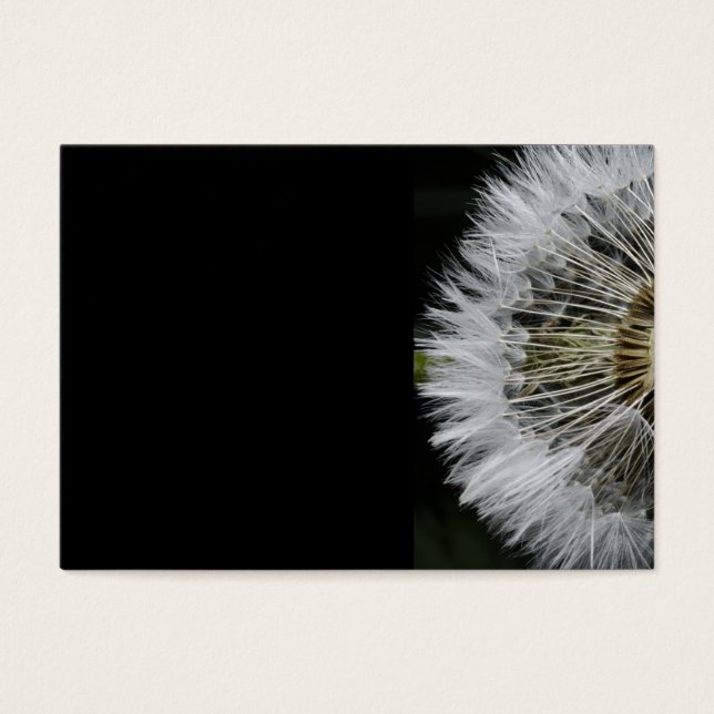 Dandelion (Front)