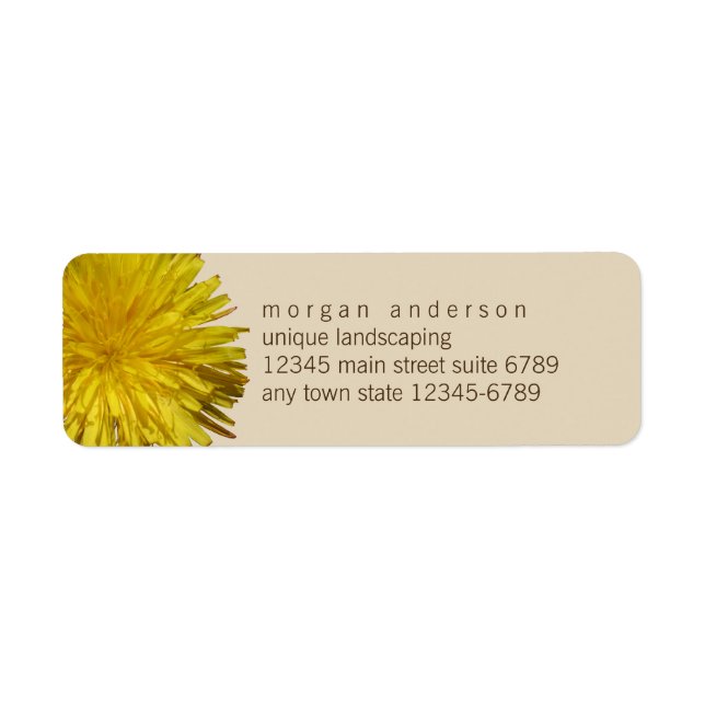 Dandelion 1 | Jardin Floral Jaune Fun Business (Devant)