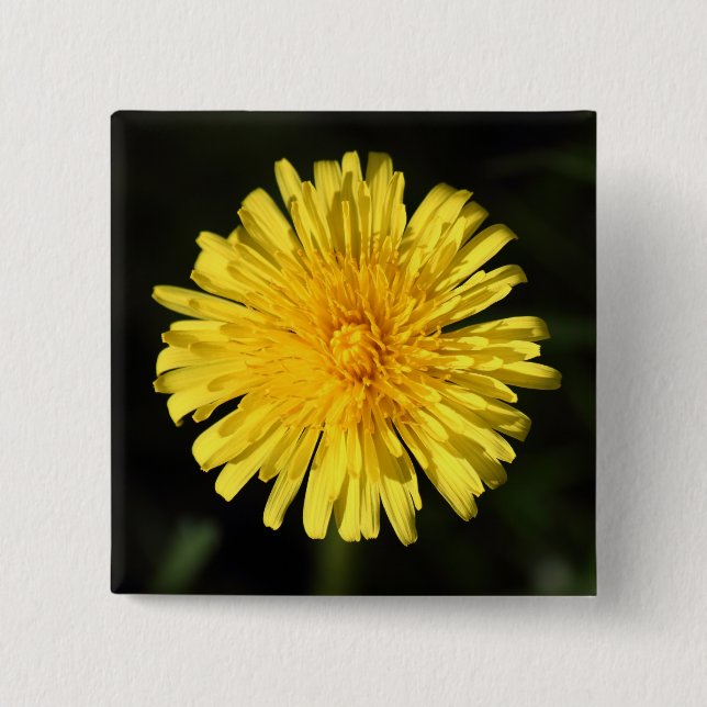 Dandelion 2 Inch Square Button (Front)