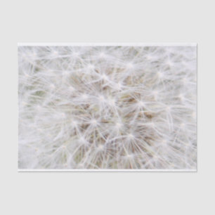 Dandelion 9668 tissue paper
